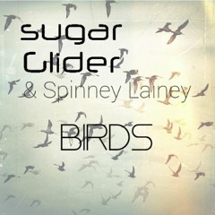 Birds (Feat. Spinney Lainey)