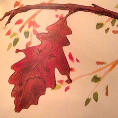 es war einmal ein Blatt - franz hohler