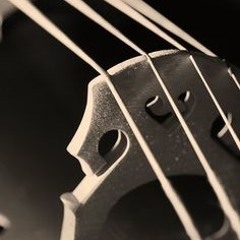 Classic Music_Cello_excerpt