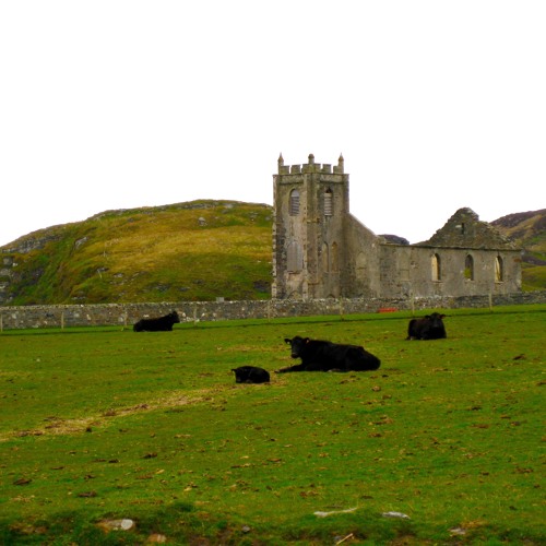 Sheltering from the Breeze at Kilchoman