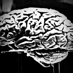 TREPIDATION ft Nicole Hunt