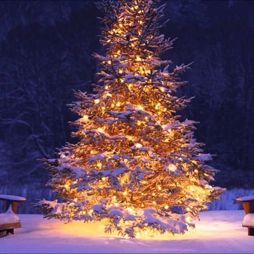 Stream Jolly Old St. Nicholas/Feliz Navidad by Stephen Salewon | Listen ...