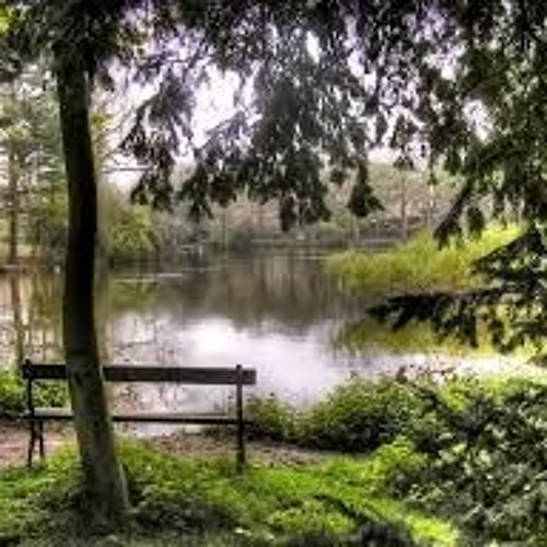 Moseley In Bloom