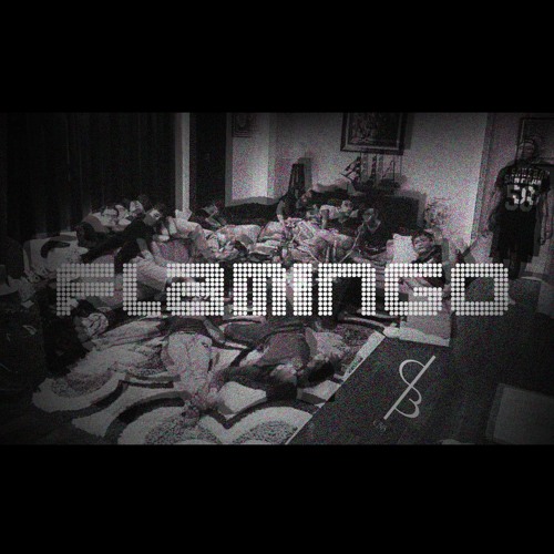 FlamingoCb13