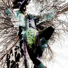 Mystic Wood