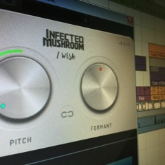 I WIsh - Infected Mushroom  - Amosico Cover