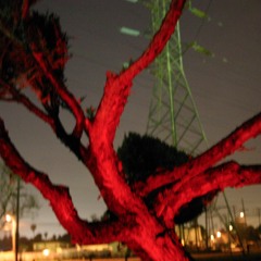 In the Darkness Is Alchemy