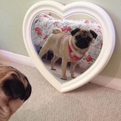 I'd Rather Sleep - Kero Kero Bonito & Aliae ( -50% version )