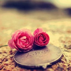 شعر
