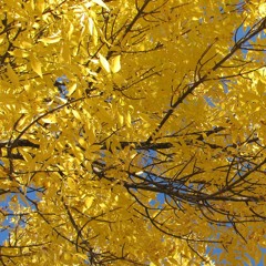 We Dont Mess About Podcast 022 - Hitsuji (Space / 170)