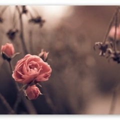 My Heart Is No Longer Mine To Give (The Long Surrender)