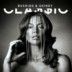 Bushido x Shindy - Glänzen (Remix) prod by MVPandRico