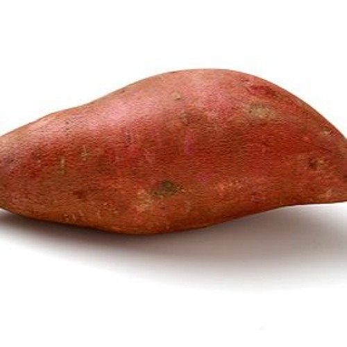buonce Breasts