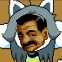 Mr. Wilson Goes To Temmie Village