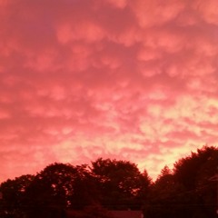 The Next Age Aquatic