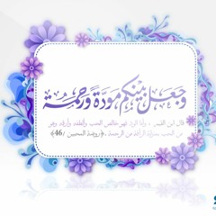 من أروع ما تسمع عن السعادة الزوجية - وصايا ونصائح للزوجين - محمد مختار الشنقيطي