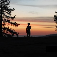 New Releases 12-01-2015