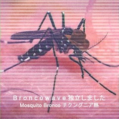 Mosquito Bronco チクングニア熱