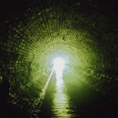 В Подземельях,под Слоем Бархатной Пыли