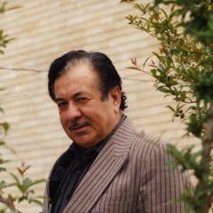 tahsin taha