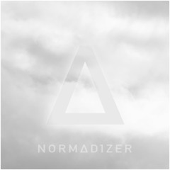 NORMADIZER - Digital Feedback