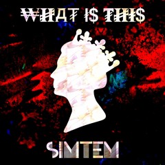 Simtem - What is This (Original Mix)
