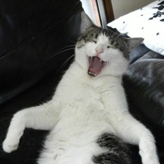 Clément Coll & Lisa - Edgar Ridim