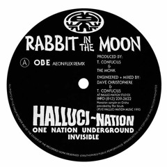 Rabbit In The Moon- OBE (Aeon Flex Remix)