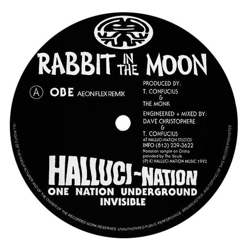 Rabbit In The Moon- OBE (Aeon Flex Remix)