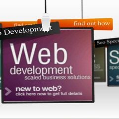 Ecommerce Website Development