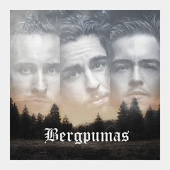 Bergpumas