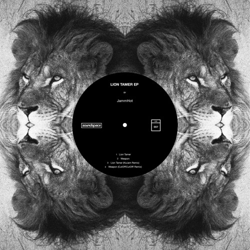 JammHot - Lion Tamer (Original Mix) [SSR007]