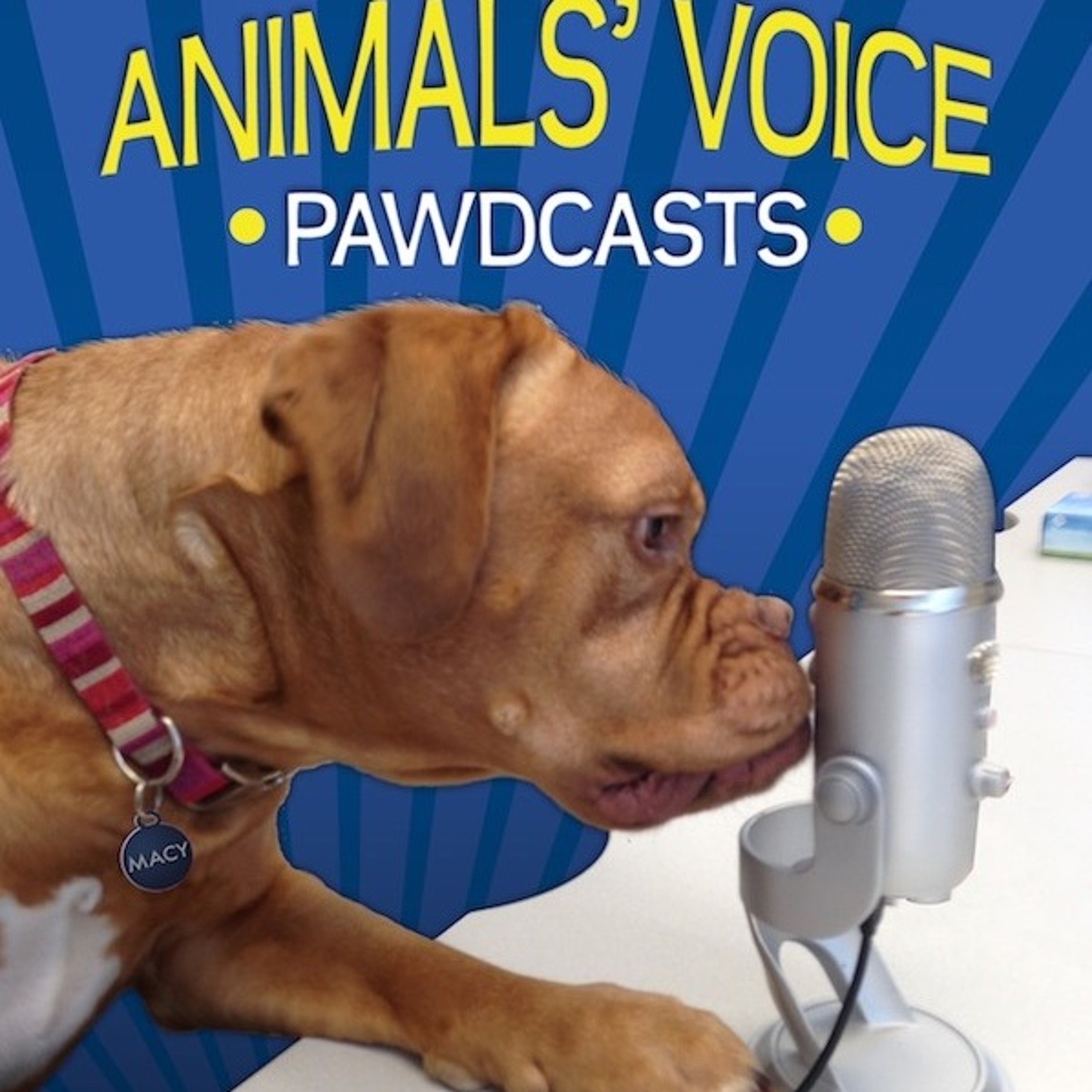Ontario SPCA - Talking all things animal-related!