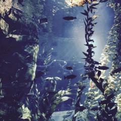 vyvn #23 Majesty of Form (Mixed by Muffs) [November 2015]