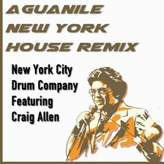 New York Drum Company (Craig Allen) - Aguanile NY House Mix