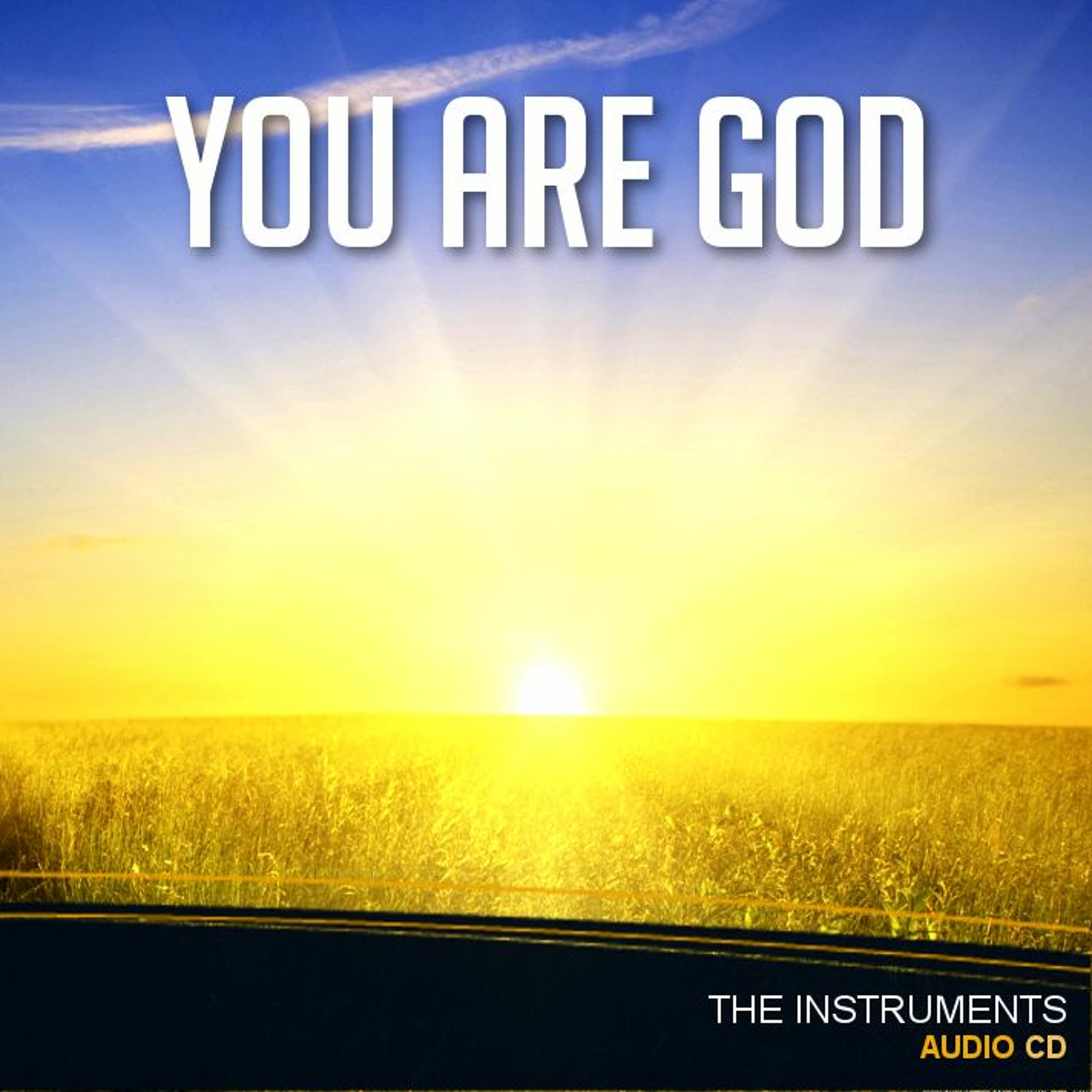 The Instruments Acapella