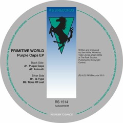 Primitive World - Q Type