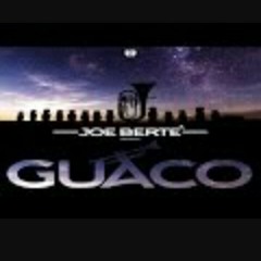 Joe berte' guaco (felipe c remix teaser) (coming soon on echo)