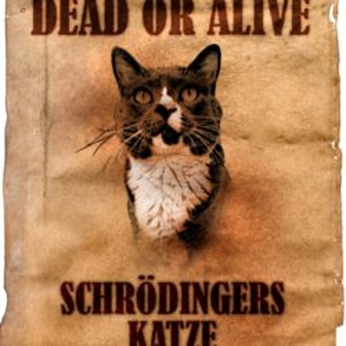 The Big Bang Theory - Schrödingers Katze (Mashup)