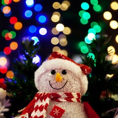Glistening Snow of Christmas