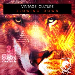 Vintage Culture - Slowing Down (Original Mix) [OUT NOW!]