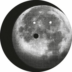 Lena Willikens - Asphalt Kobold