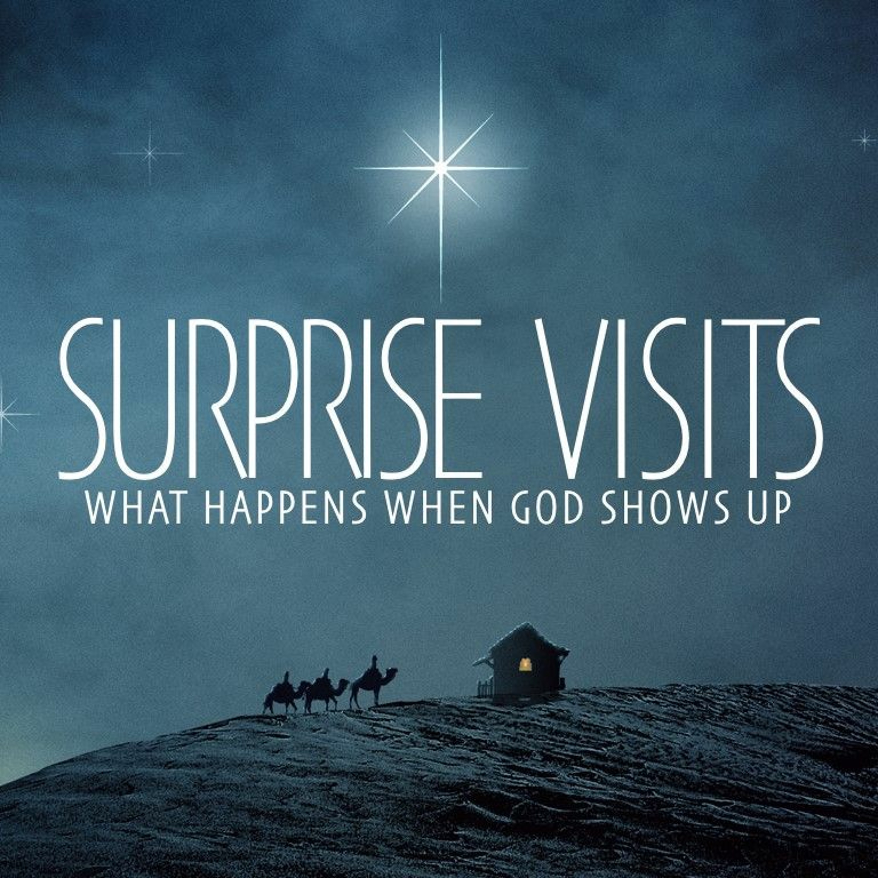 Surprise Visits episode artwork