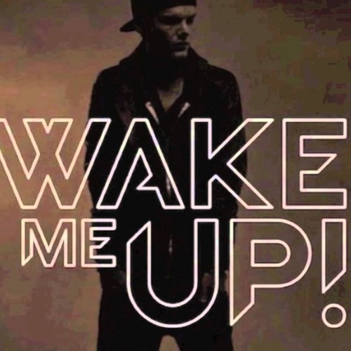 Avicii & Russkaja- Wake Me Up (Lowy LeFranc Bootleg)