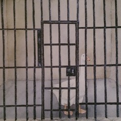 Rossco & Johnny - Skellefte Moon