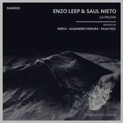 ENZO LEEP & SAUL NIETO - "La Palma" (Falki Hoz Remix) preview