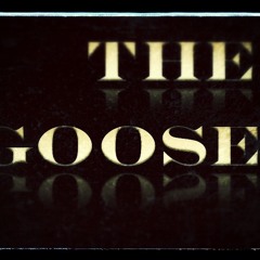 Diferente - Gotan Project Ft. DJ Goose Remix