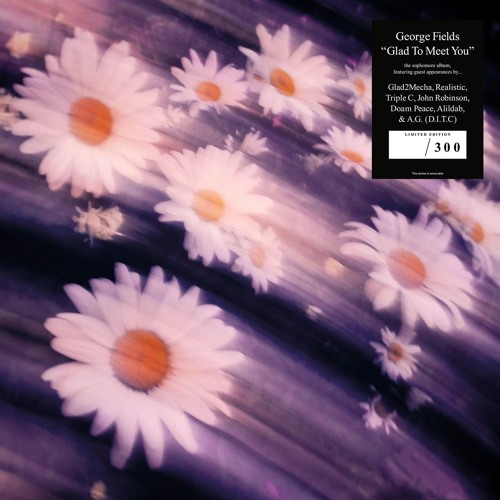 George Fields - How Are You?  Ft. John Robinson, Glad2Mecha