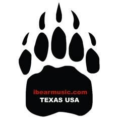 When I Disappear...(Featuring Flaco Jimenez) - 05