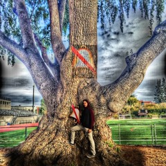 PUT THEM IN THEIR PLACE(feat: yung d)